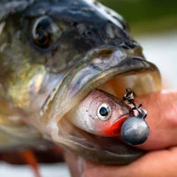 Berkley Flex Round Heads